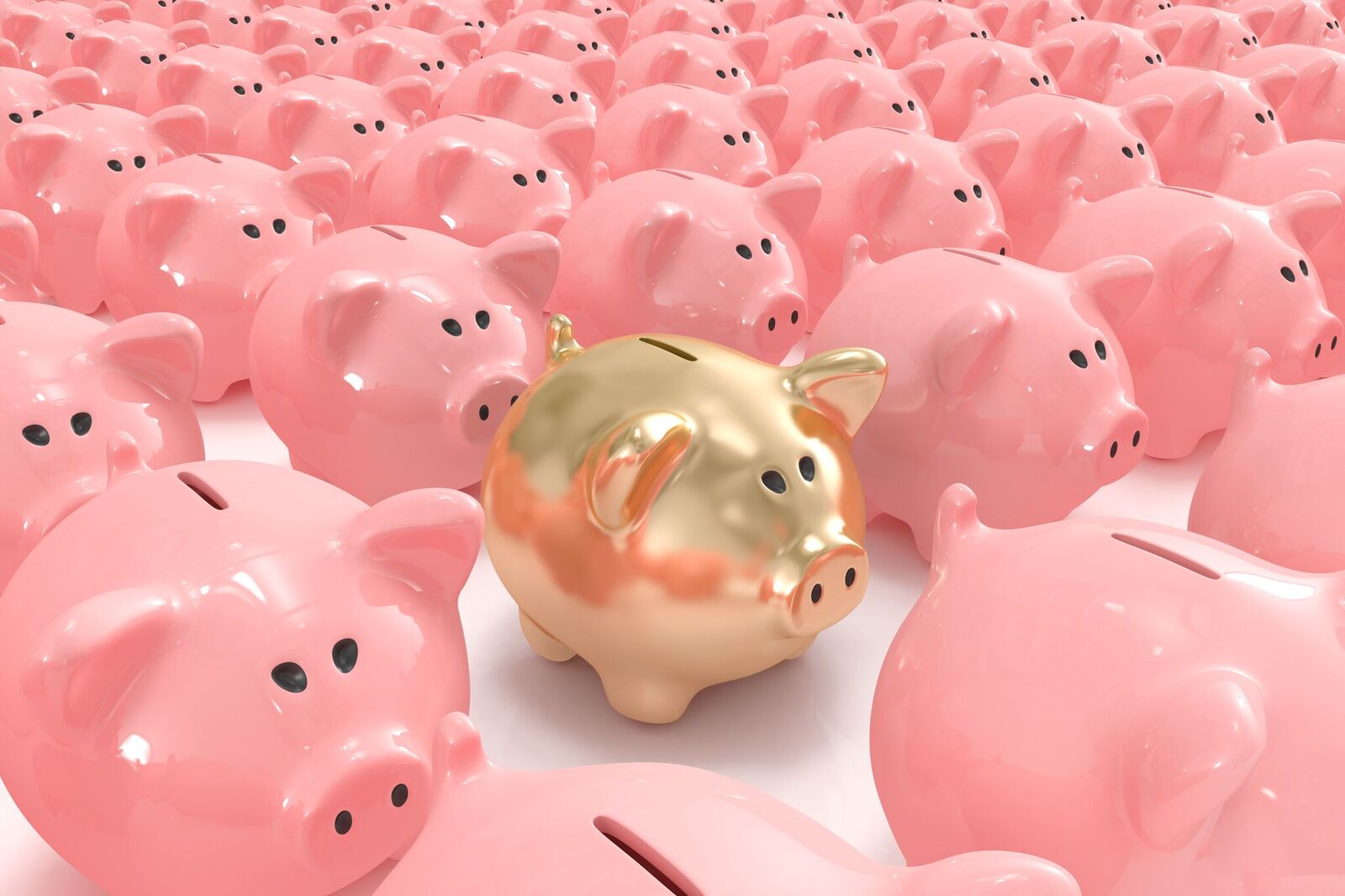 Everything You Need To Know About Credit Reporting